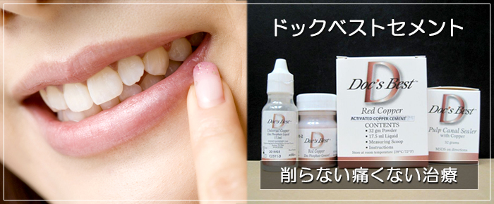 「ドックベストセメント」ページ