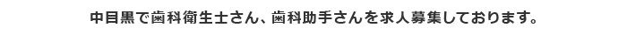 求人案内